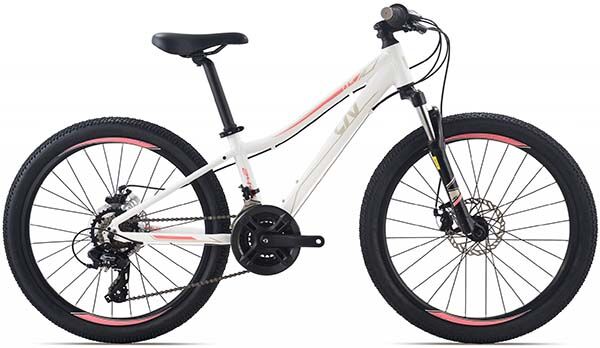 Xe đạp điện địa hình LIV CATE 24-D 2 2022***